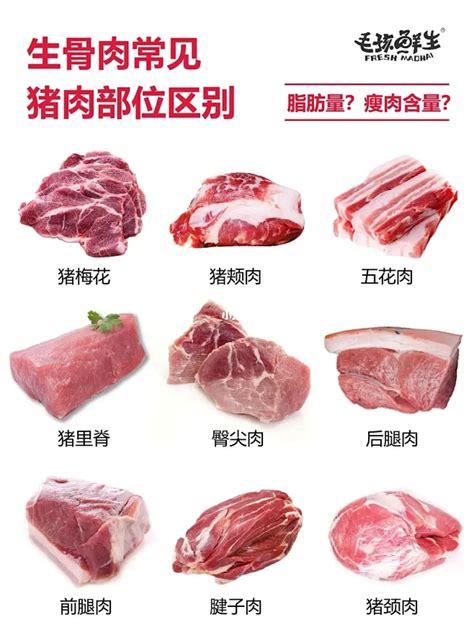 月亮骨肉部位